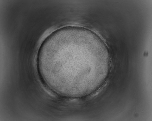 X0000100780151200807171451