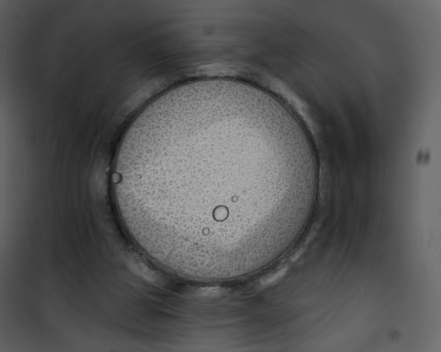 X0000100780153200807171451