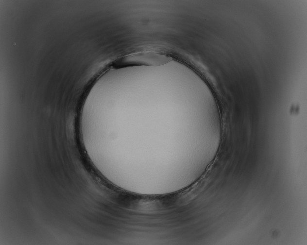 X0000100780154200807171451