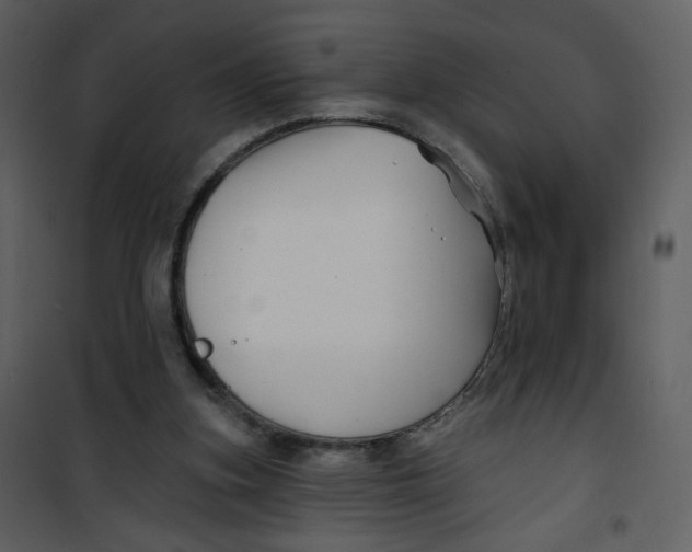 X0000100780155200807171451