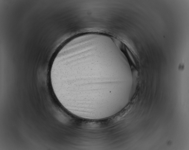 X0000100780156200807171451
