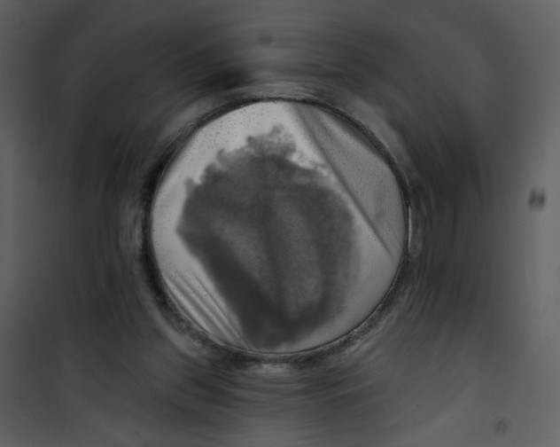 X0000100780157200807171451