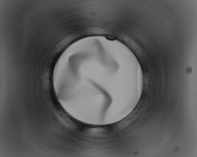 X0000100780158200807171451
