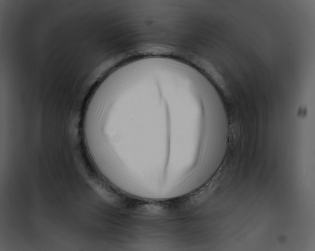 X0000100780159200807171451