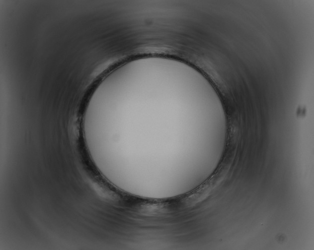 X0000100780160200807171451