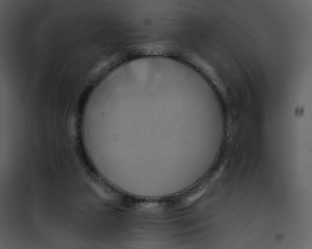 X0000100780161200807171451