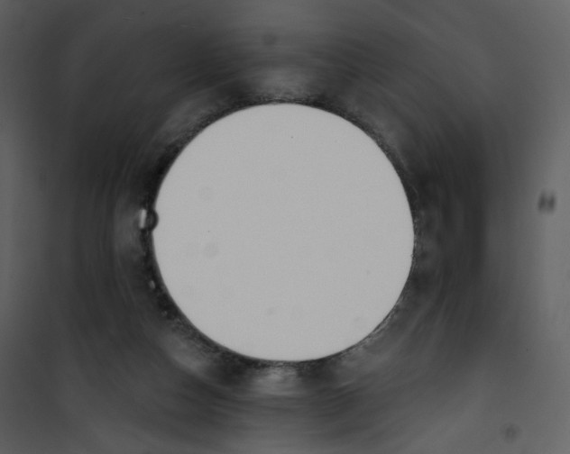 X0000100780162200807171451