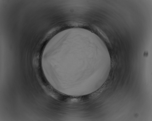 X0000100780163200807171451