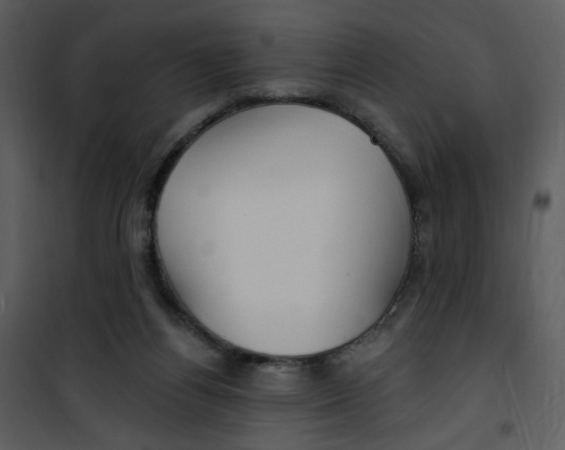 X0000100780164200807171451