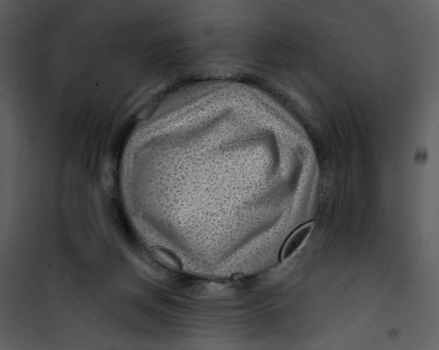 X0000100780166200807171451
