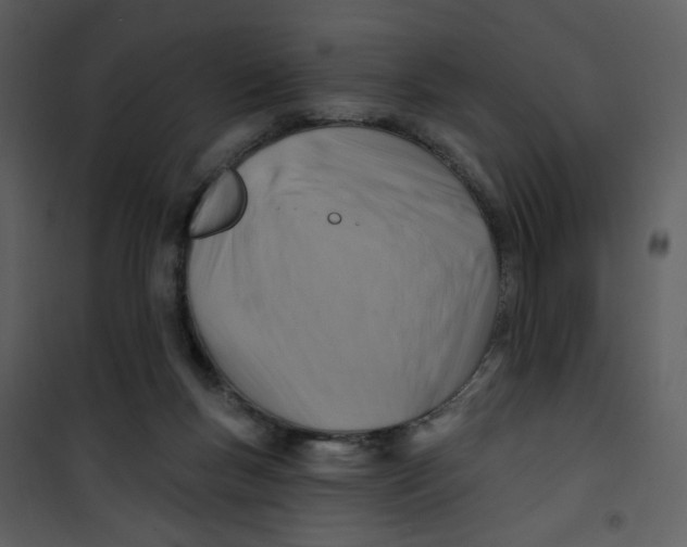 X0000100780167200807171451