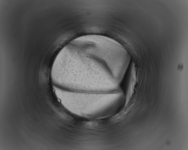 X0000100780168200807171451