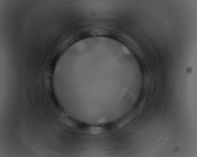 X0000100780169200807171451