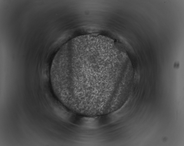 X0000100780170200807171451