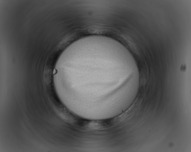 X0000100780171200807171452