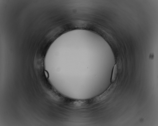 X0000100780172200807171452