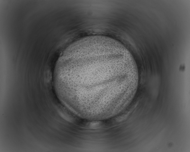 X0000100780173200807171452