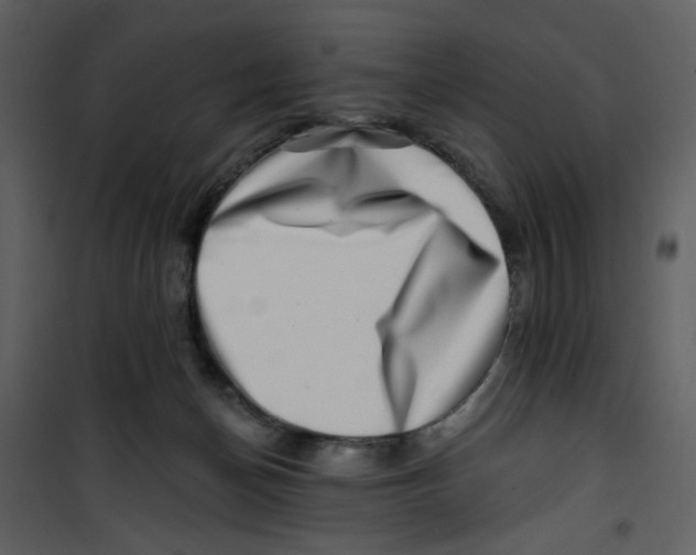 X0000100780174200807171452