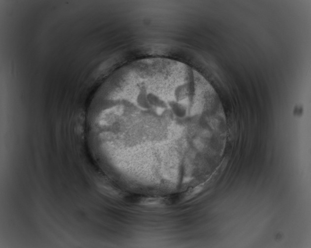 X0000100780175200807171452