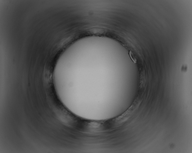 X0000100780176200807171452