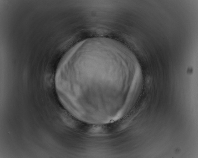 X0000100780177200807171452