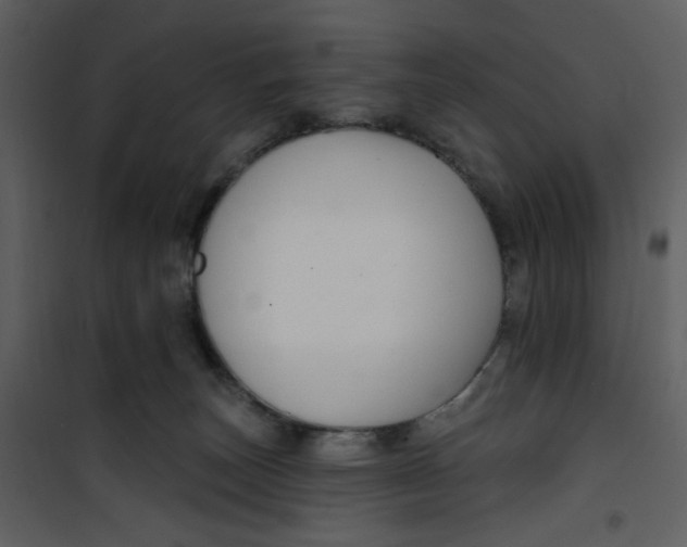 X0000100780179200807171452