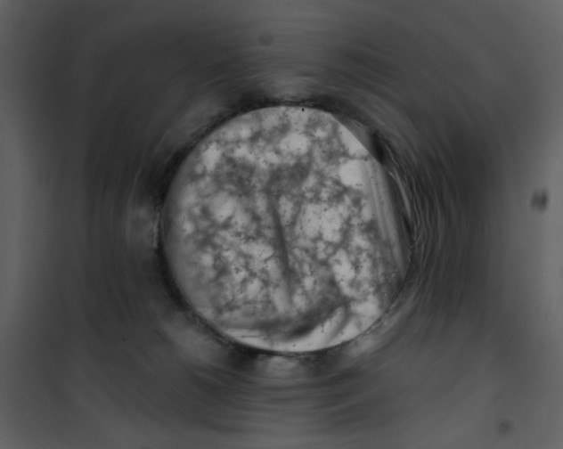 X0000100780180200807171452