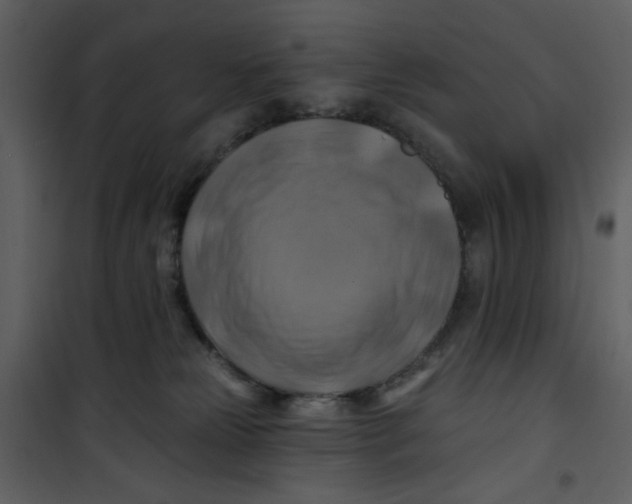 X0000100780181200807171452