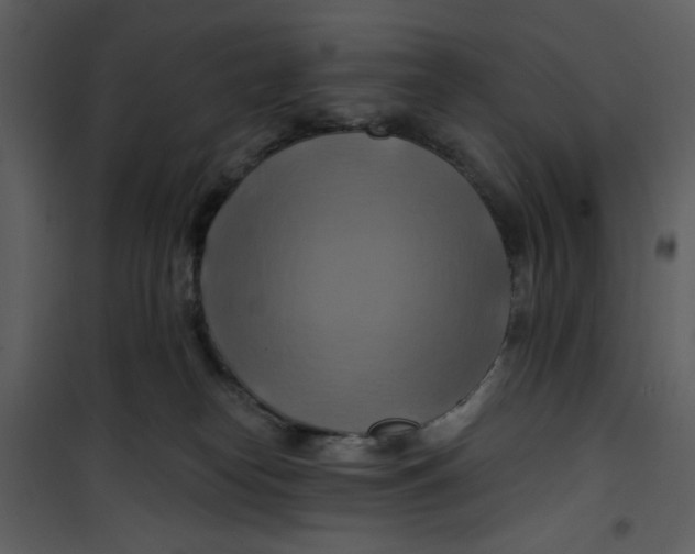 X0000100780182200807171452