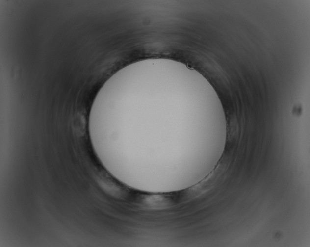X0000100780183200807171452