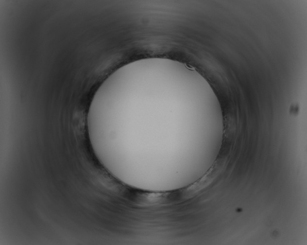 X0000100780184200807171452