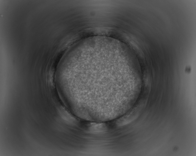 X0000100780185200807171452