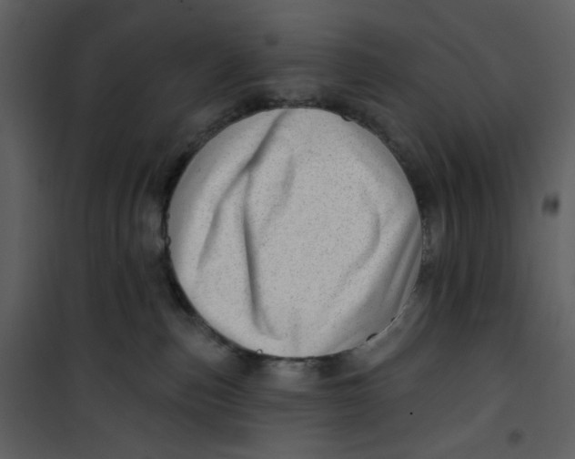 X0000100780187200807171452