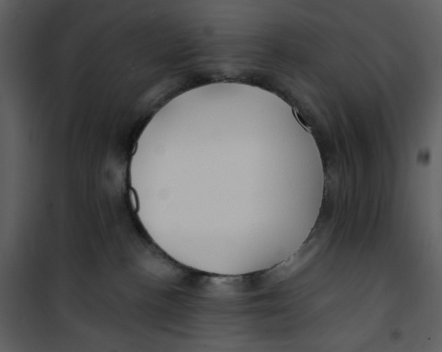 X0000100780188200807171452