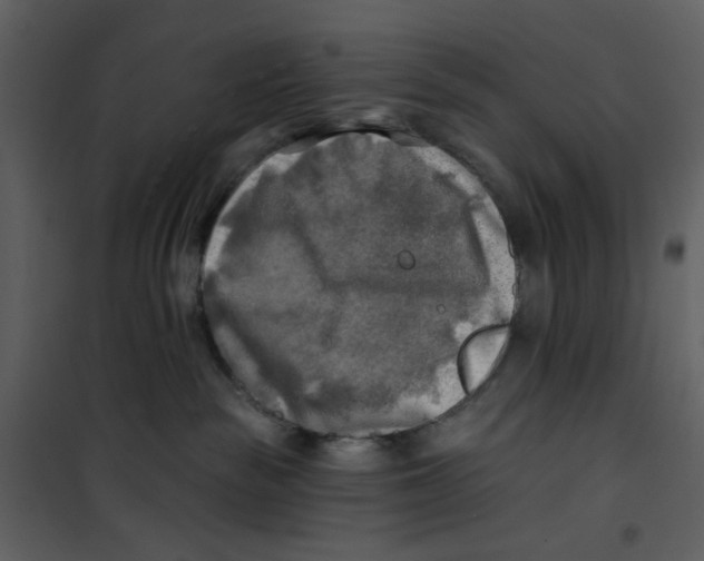 X0000100780189200807171452