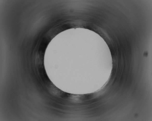 X0000100780190200807171452