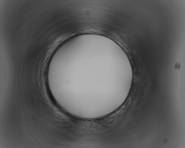 X0000100780193200807171451