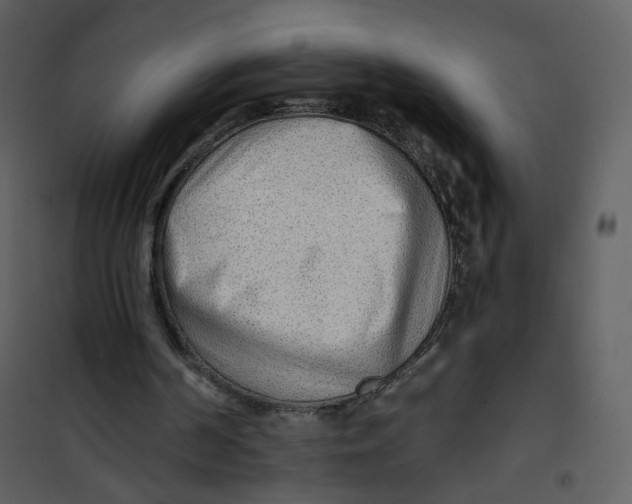 X0000100780194200807171451