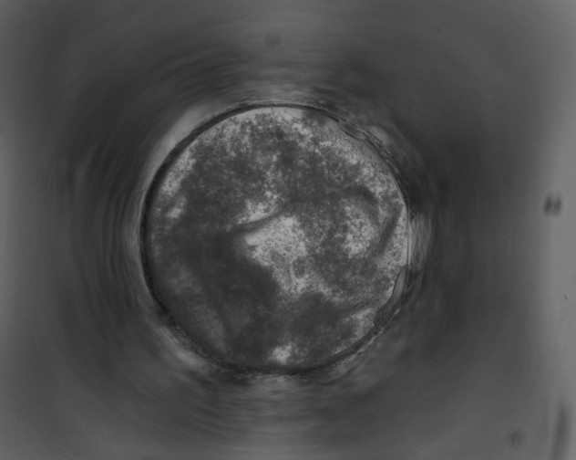 X0000100780195200807171451