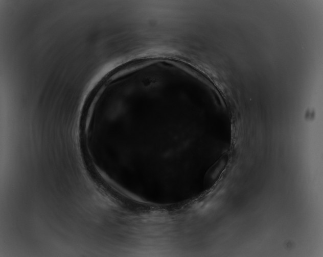 X0000100780196200807171451