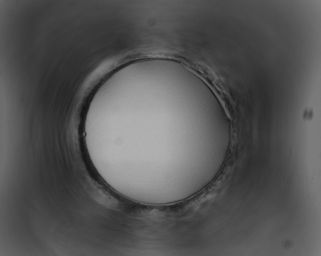 X0000100780197200807171451