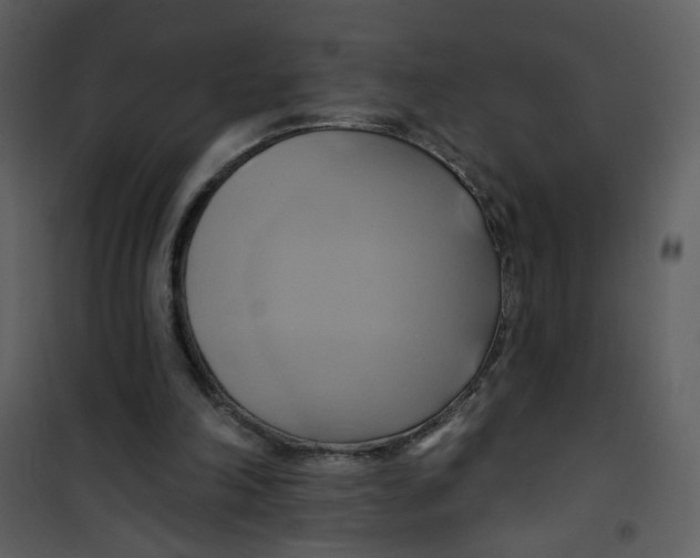X0000100780198200807171451