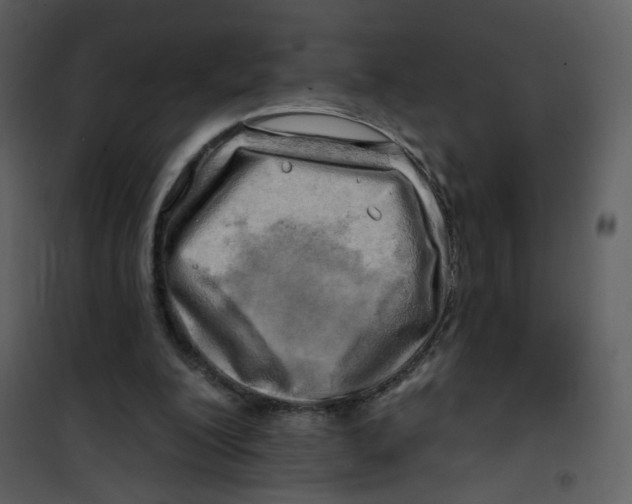 X0000100780200200807171451