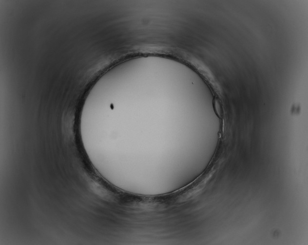 X0000100780201200807171451