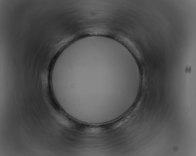 X0000100780202200807171451