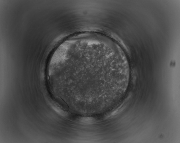 X0000100780203200807171451