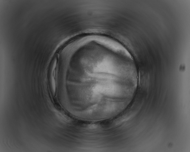 X0000100780204200807171451