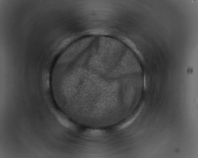 X0000100780205200807171451