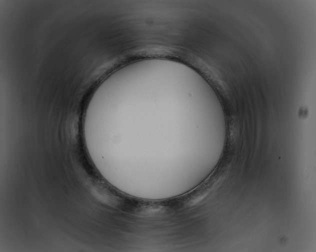 X0000100780206200807171451