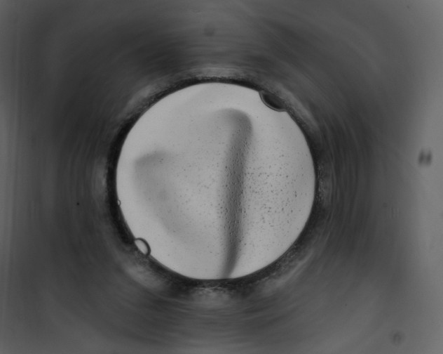 X0000100780207200807171451
